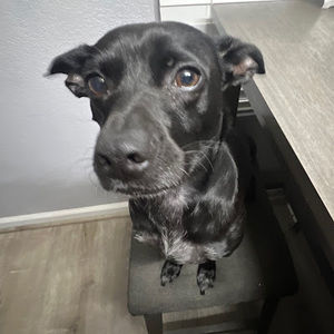 Meet your Posher, Ethan